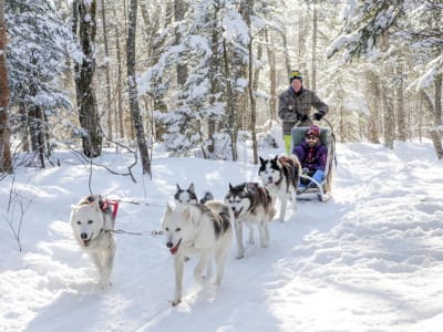 Self-Drive Dog Sledding at Jacques-Cartier National Park near Quebec City