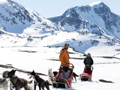 Self-Drive Dog Sledding Safari near Jotunheimen National Park from Randsverk