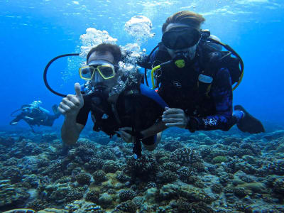 First Dive with Manta Rays or in the Tuheiava Pass at Tikehau