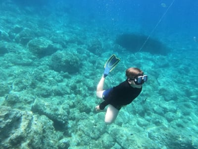 Guided Snorkelling Tour around Capo Caccia, Alghero, Sardinia