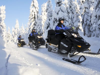 Snowmobile Excursion from Vuokatti