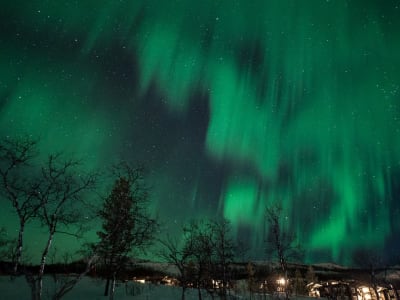 Nordlicht-Schneeschuhwanderung im Målselv-Tal von Moen aus 