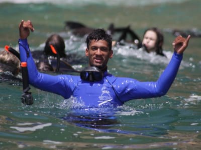 Snorkel with seals in Plettenberg Bay