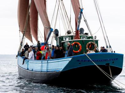 Bootstour in Brest an Bord eines alten Segelschiffs