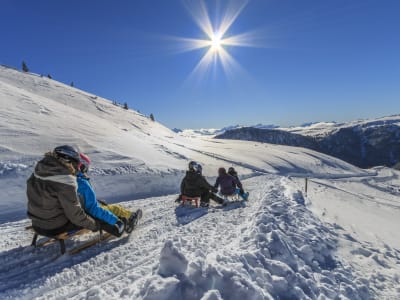Excursión con raquetas de nieve y trineo cerca de Salzburgo