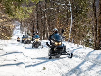 Snowmobile Excursion in the Laurentians with Transport from Mont-Tremblant