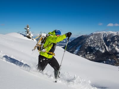 Excursión guiada con raquetas de nieve por el Berchtesgadener Land, cerca de Salzburgo
