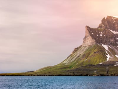 Excursion en bateau pour observer les fjords et les oiseaux jusqu'au glacier Nordenskiöld au Svalbard