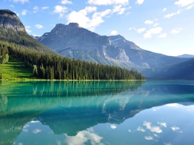 Guided sightseeing tour in Yoho and Kootenay National Parks from Banff
