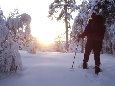 Randonnée en raquettes à Piteå, Norrbotten
