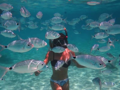 Snorkelling Excursion near the Revellata Nature Reserve from Calvi, Corsica