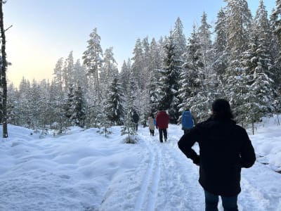 Winter Hike in Liesjärvi National Park from Helsinki