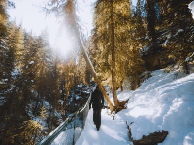 Excursión invernal al Cañón Johnston en el Parque Nacional de Banff