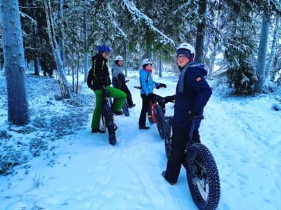 Winter-Fatbiking auf gefrorenem Meereis von Nallikari in Oulu