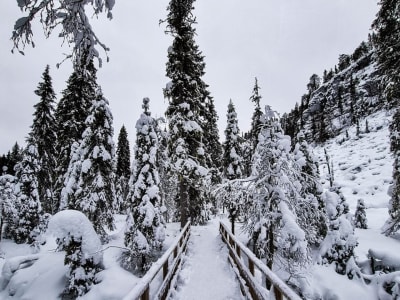 Randonnée dans le canyon de Korouma depuis Rovaniemi