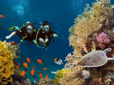 Discover Scuba Diving at Agia Efimia, in Kefalonia