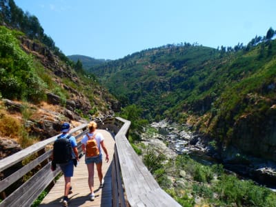 Excursión guiada por las Pasarelas de Paiva y el Puente de Arouca 516, cerca de Oporto