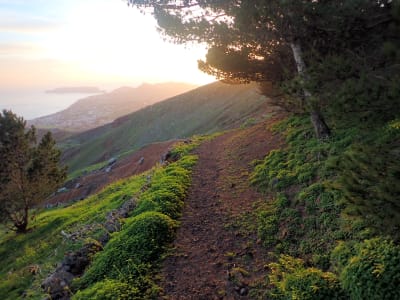 Guided Hike to Pico do Facho in Porto Santo, Madeira