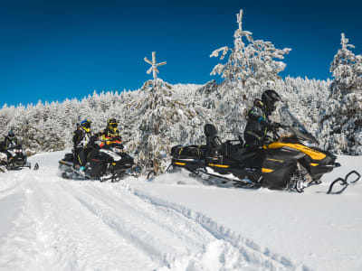 Motorschlittentour in Kolašin in der Nähe des Nationalparks Biogradska Gora