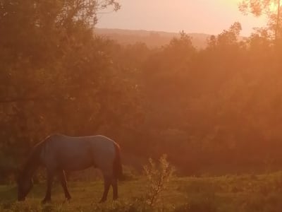 Paseo a caballo por el Piton Maïdo al atardecer, Isla Reunión