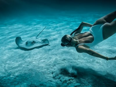 Private Eco Snorkelling Tour in Moorea's Lagoon