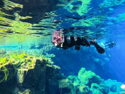 Snorkeling dans la faille de Silfra au Parc National de Þingvellir, près de Reykjavík