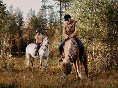Ausritt in der Nähe des Weihnachtsmanndorfes in Rovaniemi