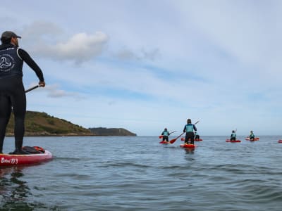 Balade guidée en stand-up paddle à Locquirec, près de Morlaix dans le Finistère