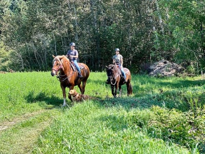 Discover Horseback Riding in the Vallée du Gouffre, Charlevoix