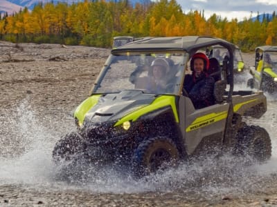 Off-Road Guided Buggy/Quad Adventure around the Alaskan Boreal Forest near Denali National Park