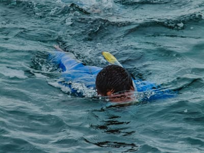 Excursión de Snorkel en Terceira, Azores