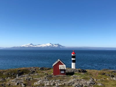 Hiking Excursion to Lyngstuva Lighthouse in the Lyngen Alps, from Tromsø