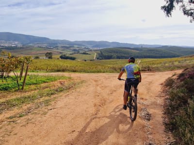 Luxuriöse E-Bike Tour rund um Óbidos, in der Nähe von Lissabon
