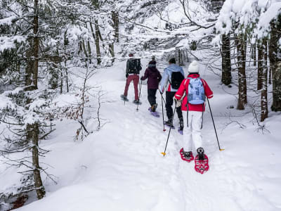 Private Snowshoeing Tour to Passo Giau from Cortina d'Ampezzo