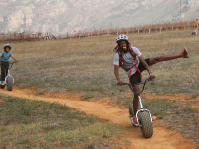 Visita guiada en Patinete eléctrico por Stellenbosch, cerca de Ciudad del Cabo
