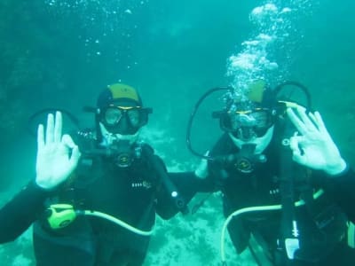 Scuba Diving Discovery from Cannes, Mandelieu-la-Napoule