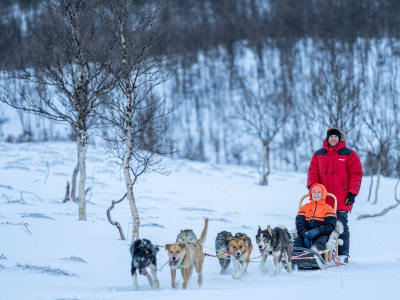 Selbstfahrer-Hundeschlittenfahrt mit Eiskuppel-Schneepark und Rentierbesuch ab Tromsø