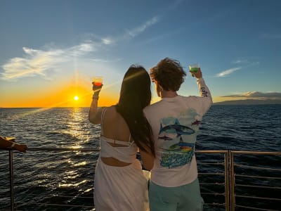 Sunset Catamaran Cruise to Diamond Head Gold Coast from Honolulu in Oahu