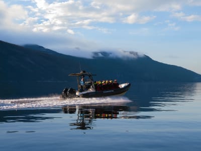 RIB Tour on Lysefjord & Guided Summit Hike to Pulpit Rock from Stavanger