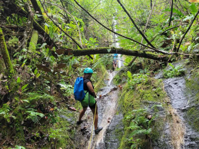 Descenso de barrancos en Moorea