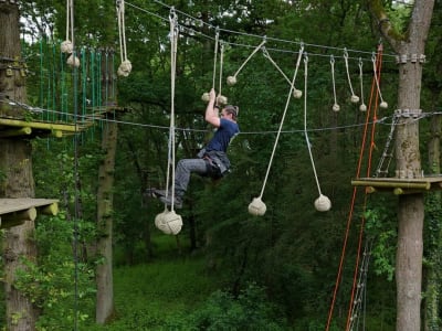 Tree-climbing session at Saint-Quentin-en-Yvelines near Versailles