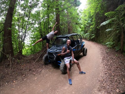 Private Buggy Excursion in Madeira’s mountains and Laurissilva Forest from Funchal