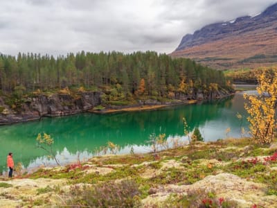 Excursión fotográfica por los fiordos noruegos y la fauna salvaje desde Abisko