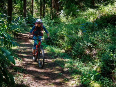 Excursion à VTT électrique dans le Cirque de Cilaos, La Réunion