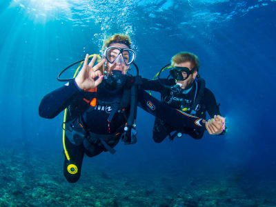 Découvrez la plongée sous-marine à partir de la plage de Radazul, Tenerife