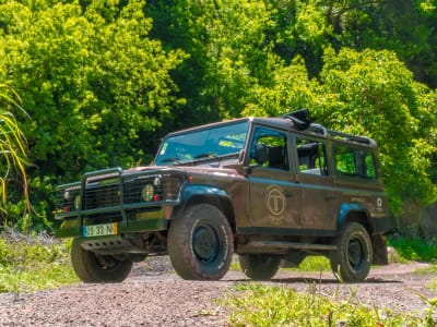 Skywalk, Cliff & Valleys 4x4 tour from Funchal, Madeira