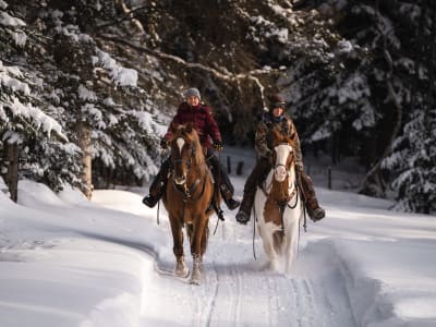 Descubra el Paseo a caballo en el Valle del Gouffre, Charlevoix