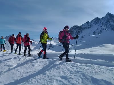 Randonnée en raquettes à neige dans la Vallée de Vars