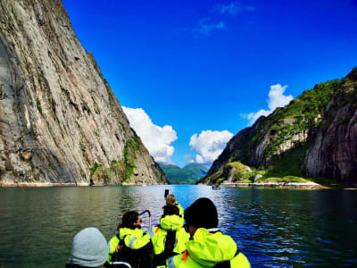 Excursion en semi-rigide dans le Trollfjord depuis Stokmarknes à Vesterålen