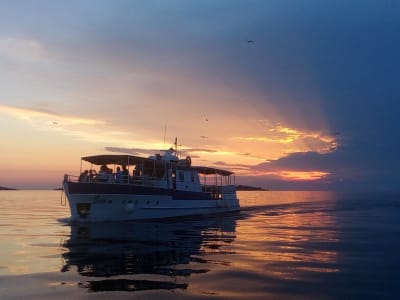 Excursión privada con delfines y puesta de sol con cena desde Pula